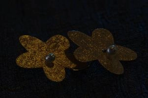 2013-11-10-20.38.10 ZS PMax.jpg